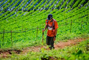 BIB: 3843
                            <button type="button" onclick="openModal(19163614)" class="btn btn-primary btn-sm float-right btn-popup" data-toggle="modal" data-target=".modal-high-quality">
                        <i class="fas fa-shopping-cart"></i> Add to Cart
                    </button>
                                            <button type="button" onclick="isThisMe(19163614, true)" class="btn btn-success btn-sm float-right btn-popup btn-isme hidden" data-toggle="tooltip" data-placement="bottom" title="นี่คือรูปของคุณใช่ไหม คลิกที่นี่เพื่อเอาเข้าอัลบั้ม">
                        <i class="fas fa-plus"></i> Add to album
                    </button>
                    <button type="button" onclick="isThisMe(19163614, false)" class="btn btn-warning btn-sm float-right btn-popup btn-isnotme hidden">
                        <i class="fas fa-ban"></i> Remove from album
                    </button>